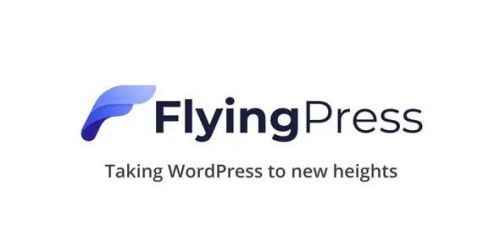 Review FlyingPress Pro – Plugin Tăng Tốc WordPress Mạnh Nhất?